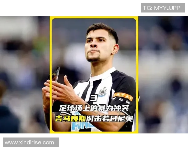 足球械斗背后的真相与影响探讨：从赛场到社会的暴力现象分析